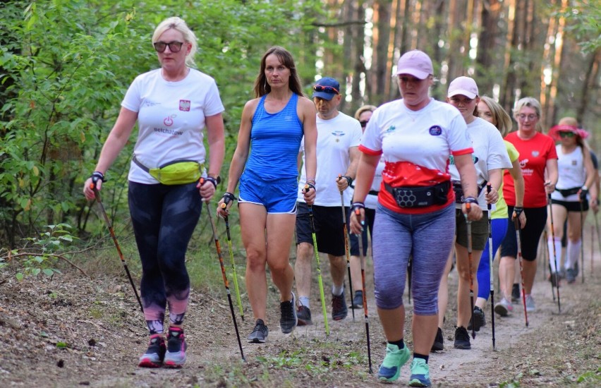 Zawody Pucharu Świata Nordic Walking odbędą się w...