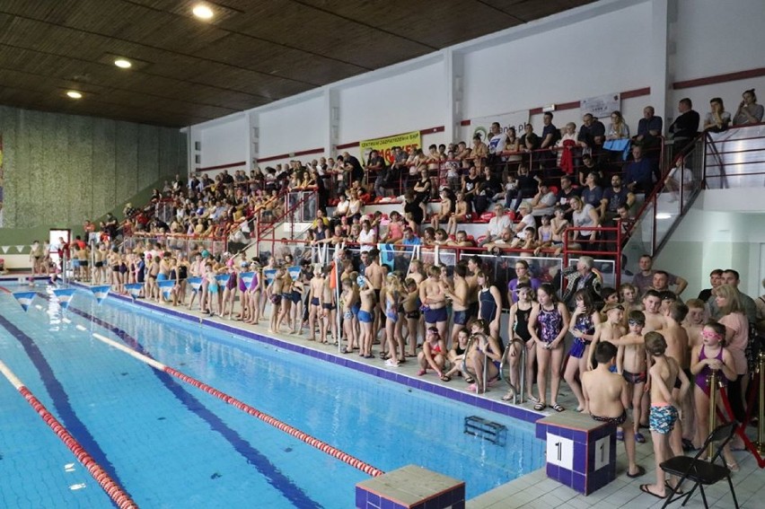 Mistrzostwa Inowrocławia w pływaniu dzieci i młodzieży [zdjęcia]