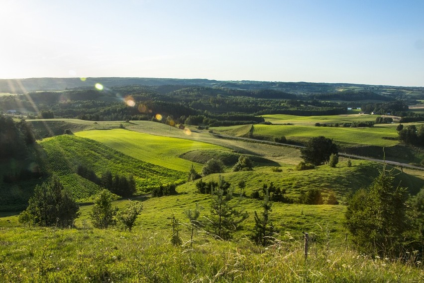 Najstarszy w Polsce park krajobrazowy to ozdoba...