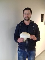 Wow! Nasz Czytelnik znalazł pieczarkę ważącą 700 gram! Ten gigantyczny okaz został znaleziony w okolicach Babimostu