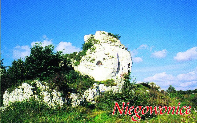 Na Jurze są głazy duże. Tak przedstawia się panorama Niegowonic. W Suliszowicach skała jest kręcona i przypomina loda z automatu. W Łutowcu też skała i zielona trawka