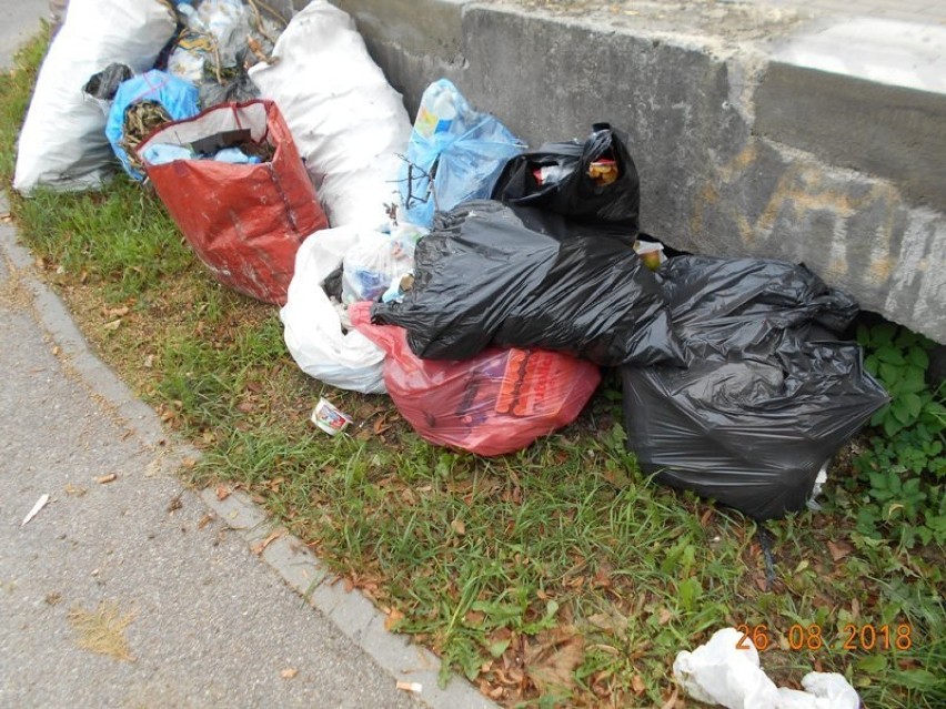 Straż Miejska ostrzega działkowców podrzucających śmieci. "Proceder nie potrwa długo"