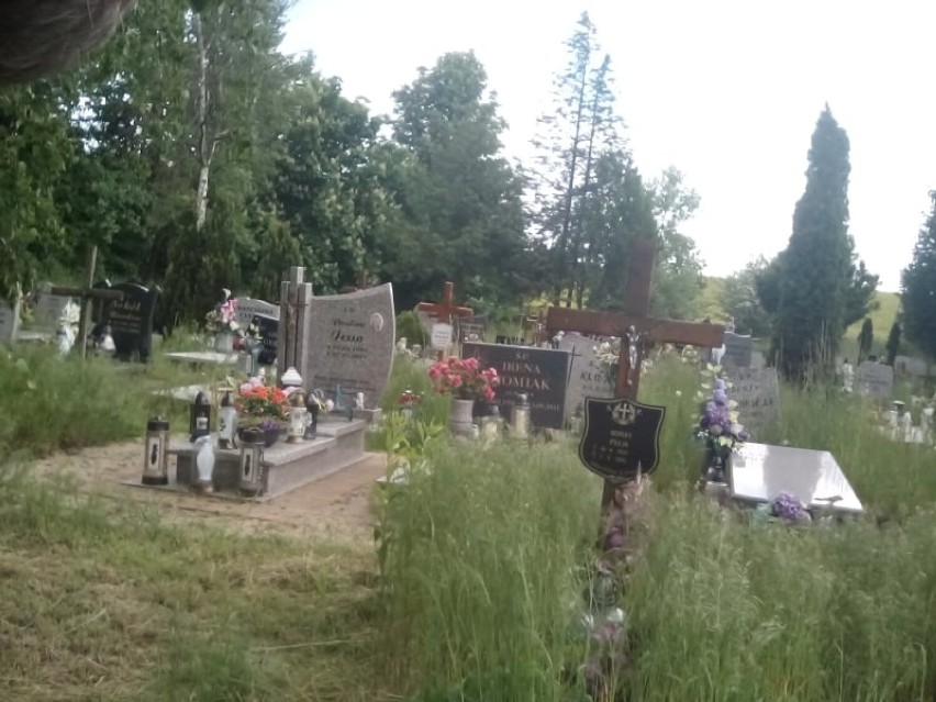 Siedemnastolatek z własnej inicjatywy porządkuje zapomniane groby
