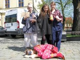 Przebrani maturzyści wyszli na ulice Ostrowa. Uczniowie tradycyjnie żegnali rok szkolny [ZDJĘCIA]