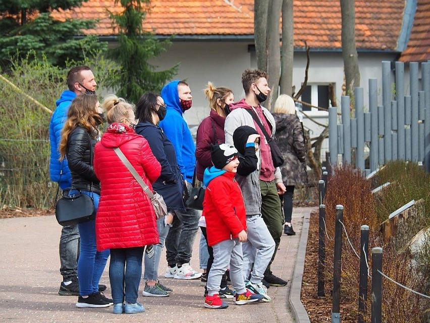 Łódzkie ZOO - jedno z niewielu otwartych miejsc - było oblegane w drugi dzień Wielkanocy. 