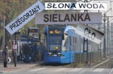 Baba Jaga, Niebieska Autostrada, Słona Woda... Śmieszne nazwy przystanków w Krakowie