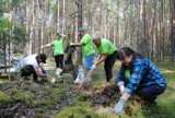 Akcja Antywysypisko w Kurnosie I. Leszy Bełchatów zapowiadają powrót w to miejsce