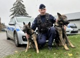 Luna, to nowy pies-policjant w Komendzie Powiatowej Policji w Wejherowie | ZDJĘCIA