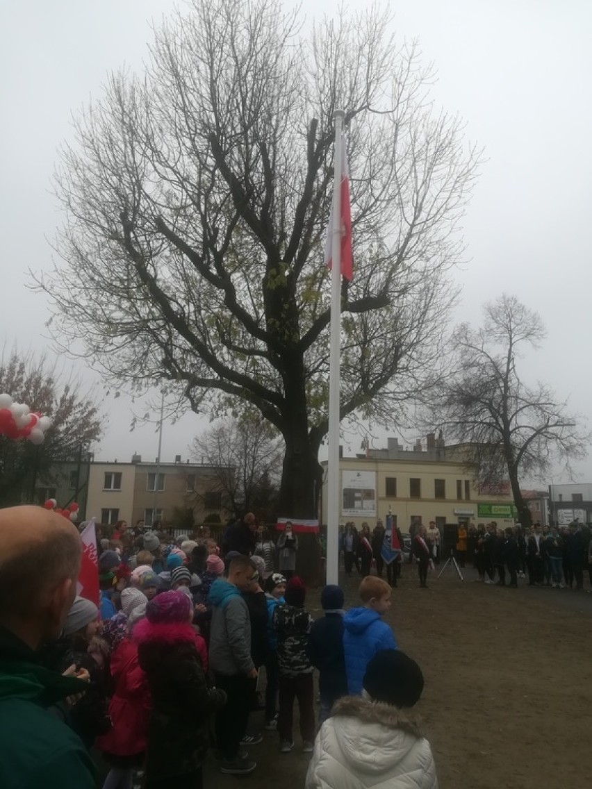 "Staś" pierwszym pomnikiem przyrody w Gnieźnie
