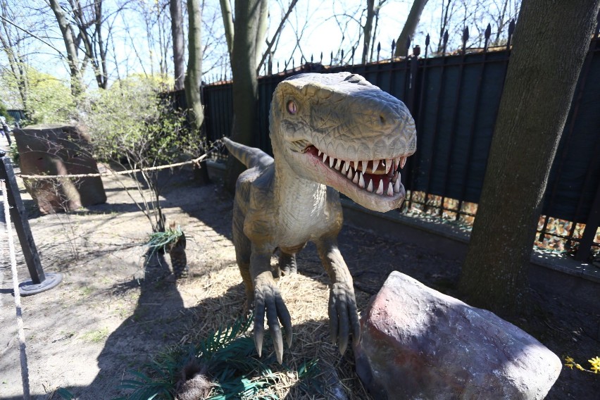 Wystawa Living Dinosaurs – Żywe Dinozaury
