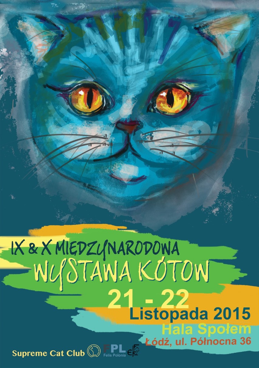 Wystawa Kotów Rasowych w Łodzi - listopad 2015