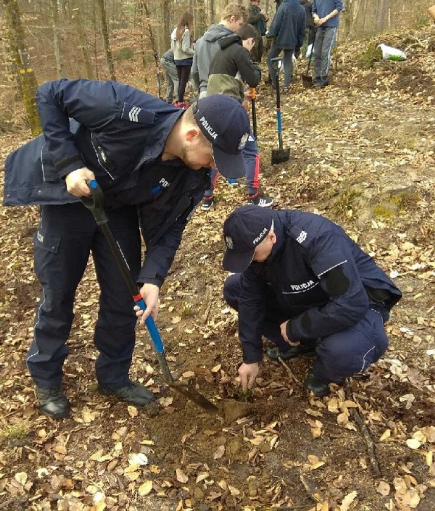 Policjanci z lęborskiej komendy sadzili drzewa w lesie [ZDJĘCIA]