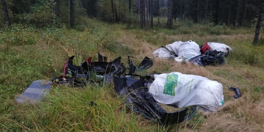 W lublinieckich lasach ktoś porzucił części samochodowe. Tak...