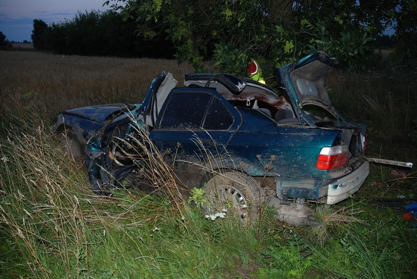 Kolonia Pałecznica: Kierowca BMW roztrzaskał się na drzewie (ZDJĘCIA)