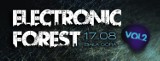 Electronic Forest. Las, rzeka i elektronika