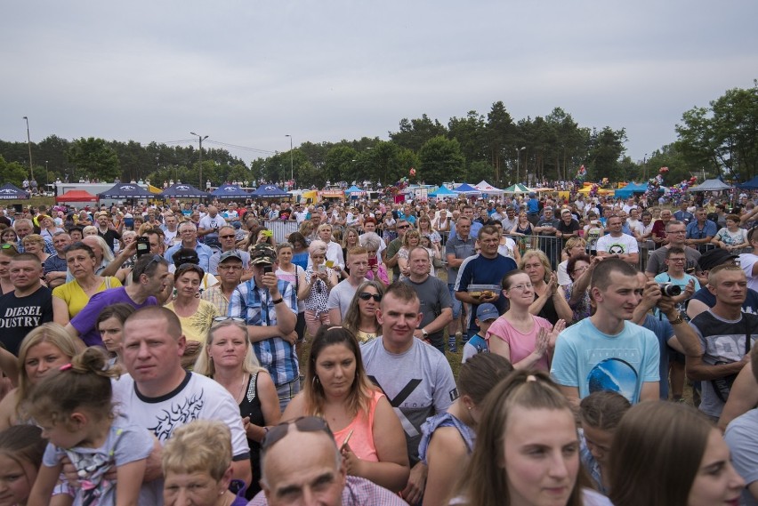 Na Festiwalu Mleka i Miodu atrakcji nie zabraknie dla nikogo[GALERIA Z UBIEGŁEGO ROKU]