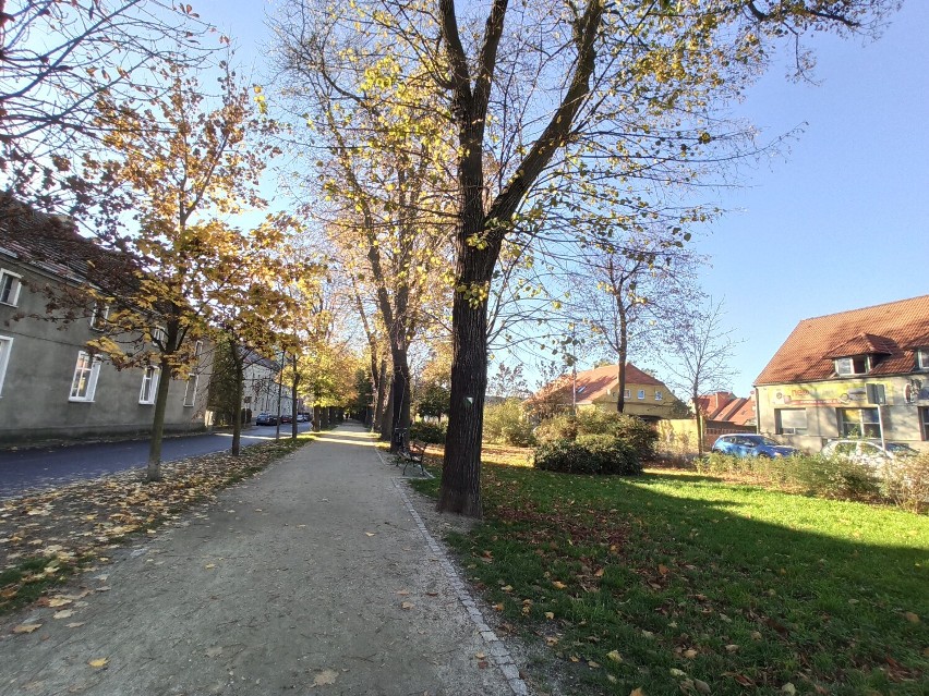 Jesień w Rawiczu - 2022