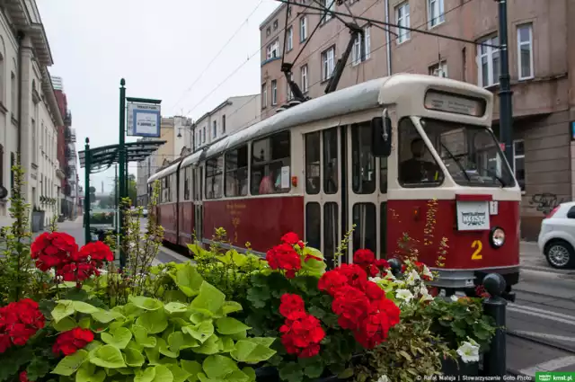 Historia Łodzi z okien tramwaju, wycieczki