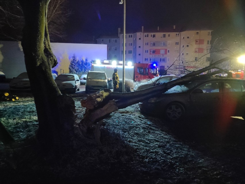 Wichury w Krotoszynie. Drzewo uszkodziło samochody osobowe [ZDJĘCIA]