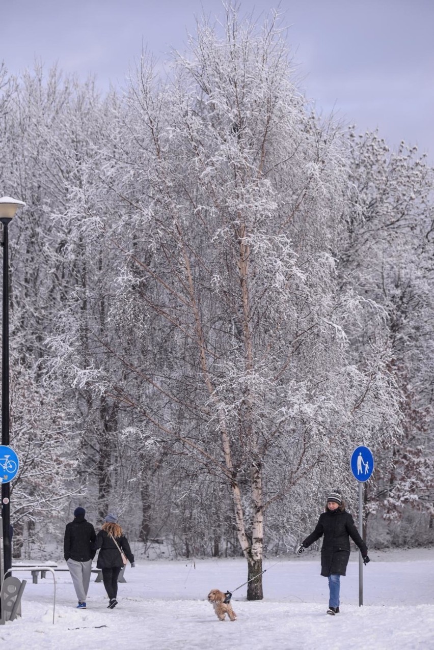 Prognoza pogody 22.01