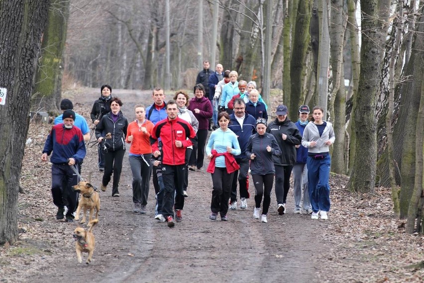 Idealne miejsce na biegi, chodzenie z kijkami czy rower....