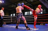 Mistrzostwa Polski w Kickboxingu w formule Low Kick w Piotrkowie 2022 - ZDJĘCIA, WYNIKI