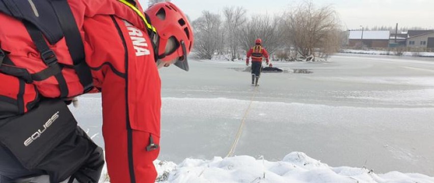Działania ratownicze na lodzie - ćwiczenia strażaków z Radomska w dzielnicy Folwarki. Zobacz FILM