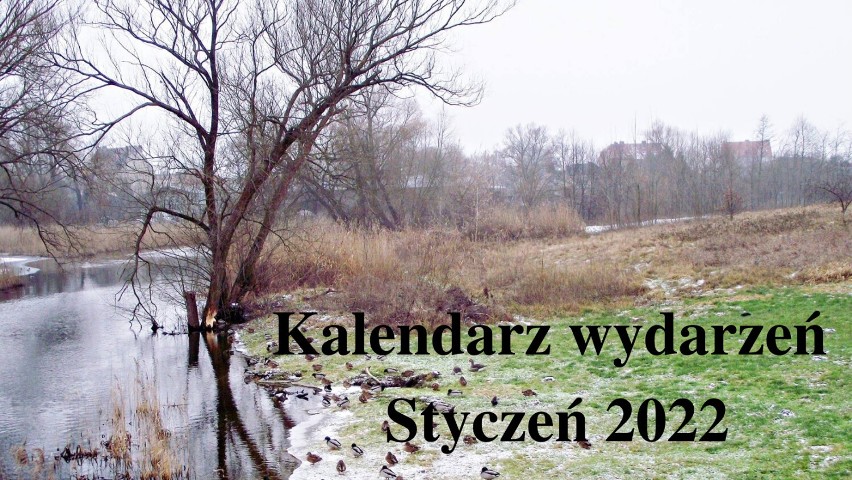 Gmina Zbąszyń: Kalendarz wydarzeń - Styczeń 2022                            