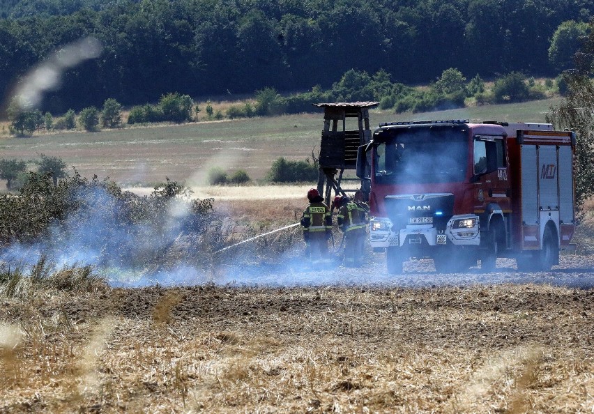 Duże pożary w powiecie jaworskim. Płoną zboża i ścierniska, zobaczcie zdjęcia