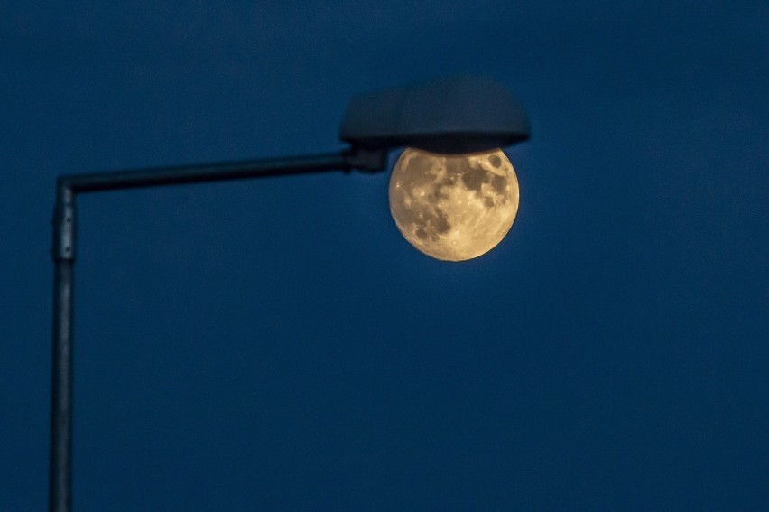 Zjawiska tego typu nie są niestety widoczne wszędzie. Tym...