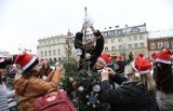 Dwadzieścia choinek na Rynku w Jaśle. Przyozdobili je uczniowie szkół miejskich [GALERIA]