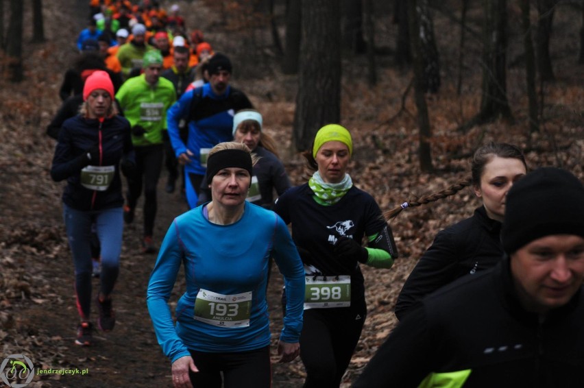 City Trail w Katowicach - zdjęcia z finałowego biegu [28 luty 2016]