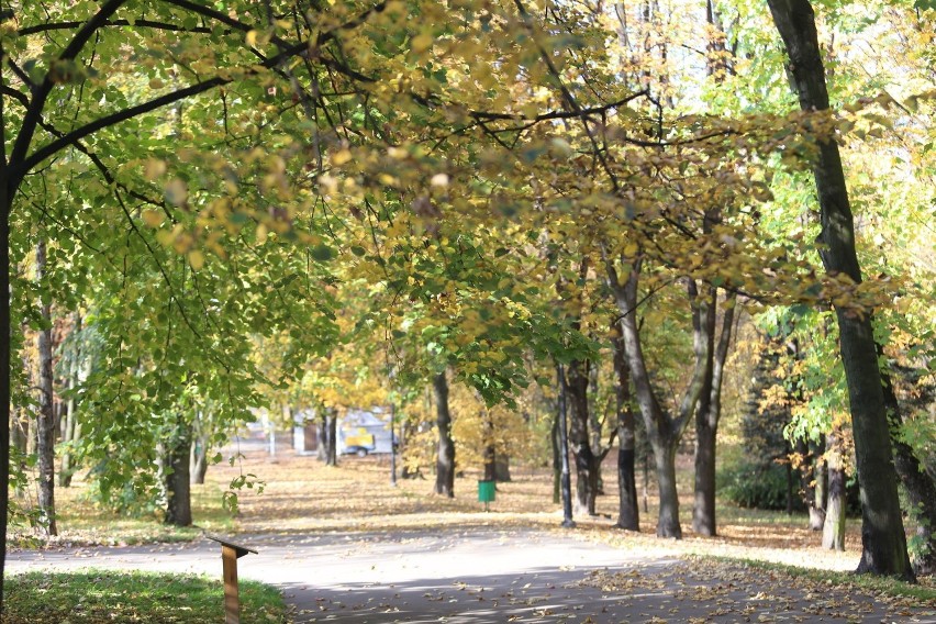 Jesień w Parku Śląskim