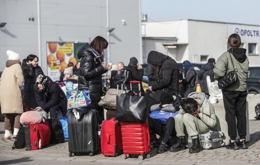 Warszawa szuka mieszkań i pokoi dla Ukraińców