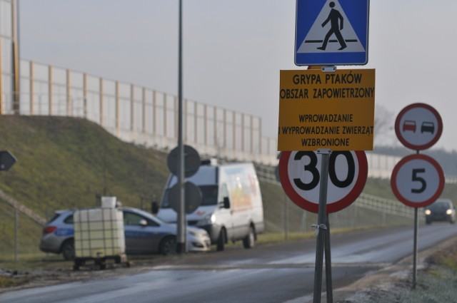 Obszar zapowietrzony obejmuje północną część gminy Górzyca z miejscowością Ługi Górzyckie i teren Starego Miasta w Kostrzynie nad Odrą.