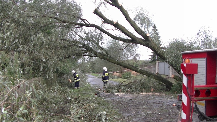 Gmina Opatówek walczy ze skutkami nawałnicy [FOTO, WIDEO]