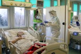 Pandemia w Toruniu nie odpuszcza. Więcej zakażeń niż rok temu