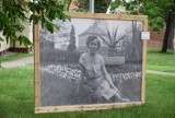 Plenerowa wystawa „Człowiek w pejzażu miasta" w centrum Wielunia[FOTO, WIDEO]