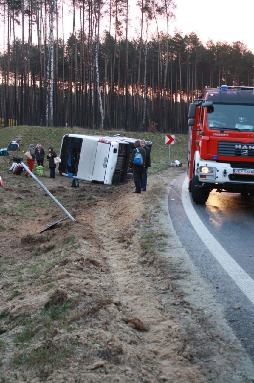 Wypadek autobusu w Bralinie. Wiózł 33 pasażerów. 4 osoby przewieziono do szpitala [ZDJĘCIA]