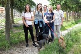 Bieg na sześć łap w schronisku dla psów w Złotowie 2017