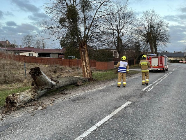 W sobotni (18 lutego 2023 r.) poranek, o godz. 6.46, strażacy z OSP Ryjewo zostali wezwani do usunięcia rozerwanego konaru drzewa, znajdującego się na skraju jezdni