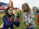 Trwa &quot;Festiwal Kwiatów&quot; w Lubinie (FOTO)