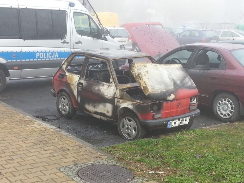Wrocław: Podpalenia na Psim Polu. Siedem aut płonęło w nocy (ZDJĘCIA, FILM)