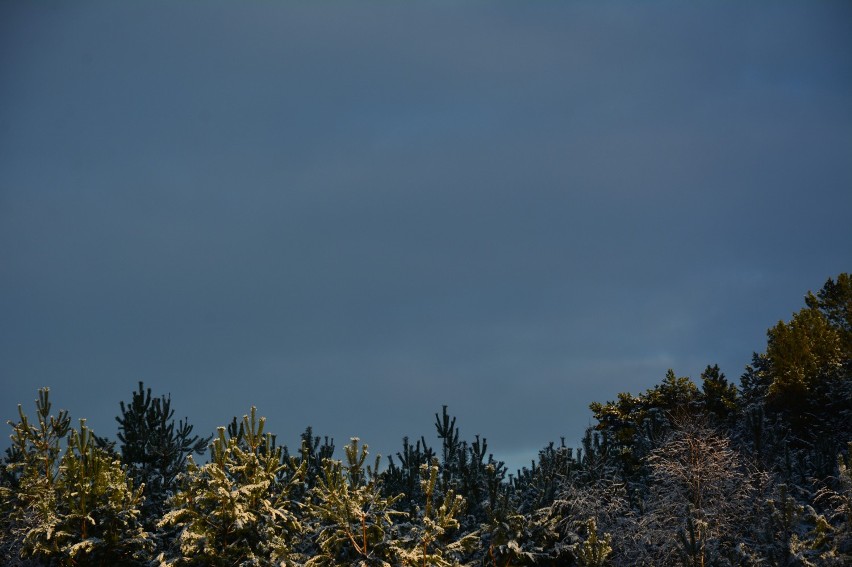 Wzgórza Piastowskie niczym śnieżna bajka...[zdjęcia]