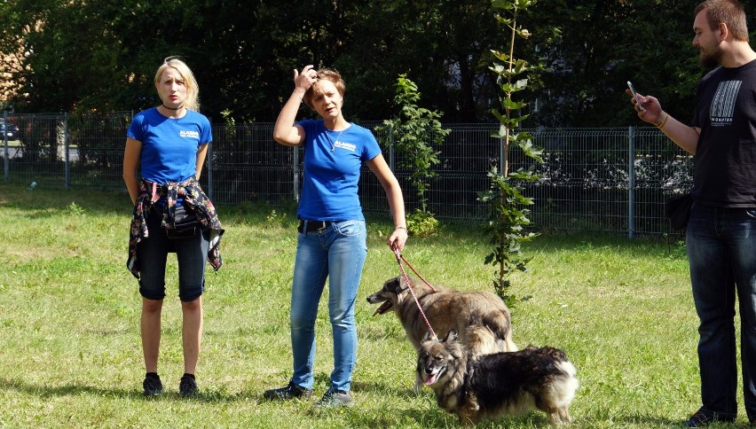 Kolejny wybieg dla psiaków w Bydgoszczy oficjalnie otwarty! [zdjęcia, wideo] 