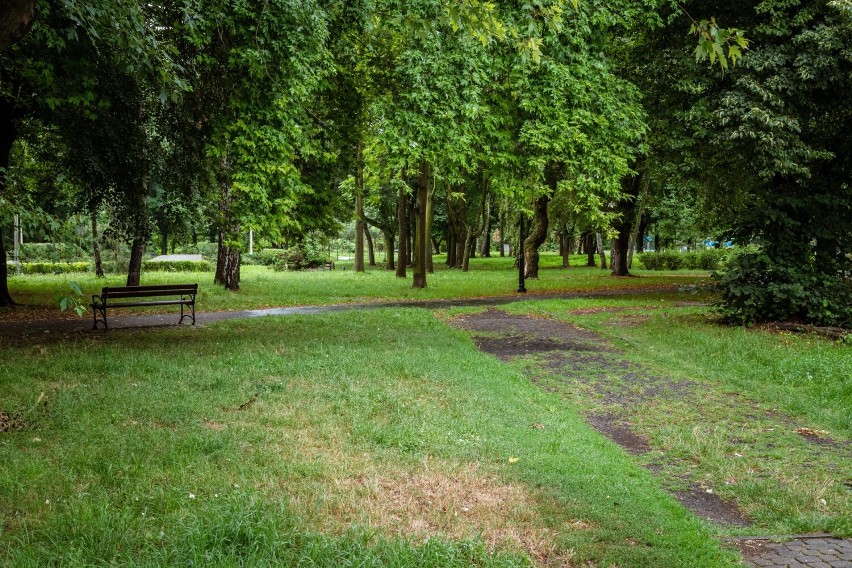Park przy bulwarach Czarnej Przemszy w Sosnowcu zostanie...