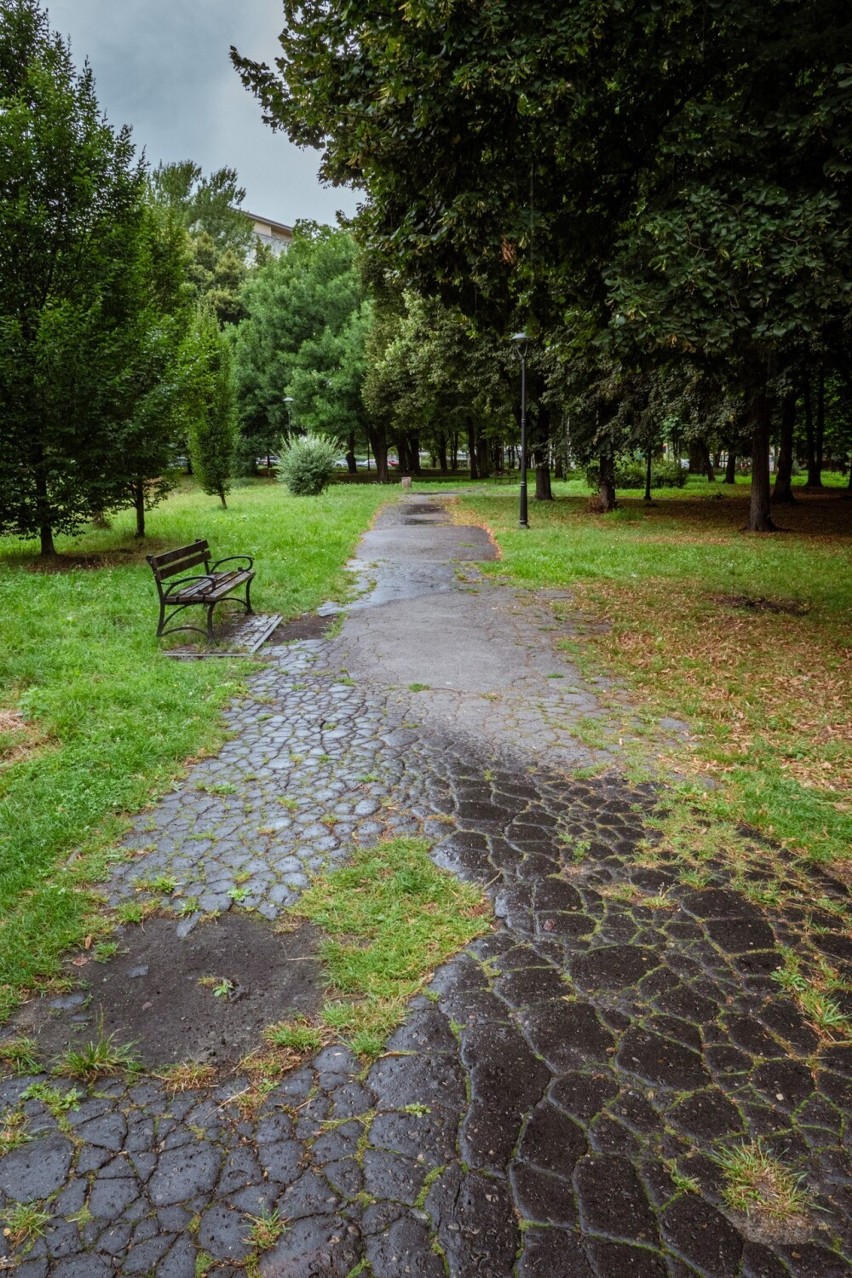 Park przy bulwarach Czarnej Przemszy w Sosnowcu zostanie...