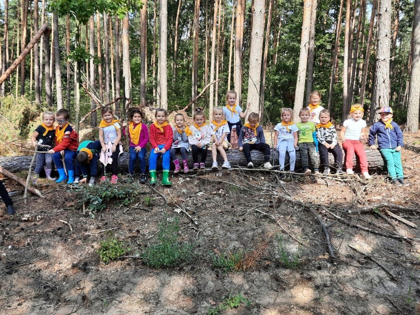 Przedszkolaki z Małego Księcia w Sycowie przywitały jesień w lesie