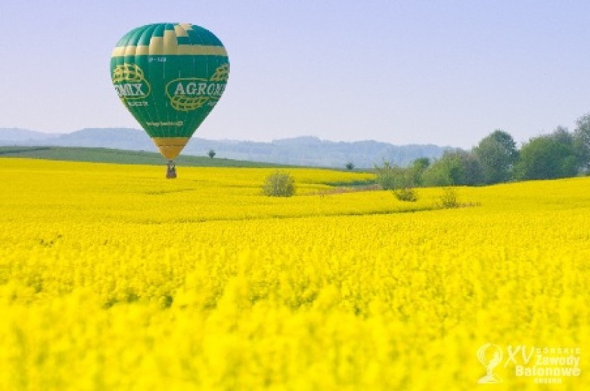 II miejsce ex aequo, za fotografię w kolorze otrzymuje...