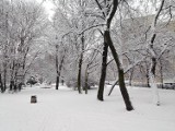 Zima w Chorzowie. W nocy mocno sypnęło śniegiem. Jest biało i ślisko. Zobaczcie ZDJĘCIA